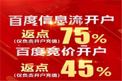 百度竞价包年服务：优化广告投放策略